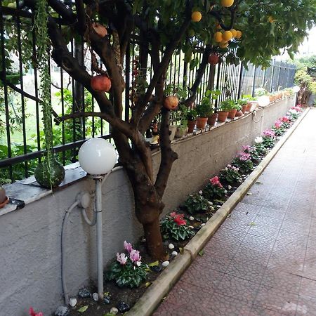 Green Garden Pompeia Exterior foto