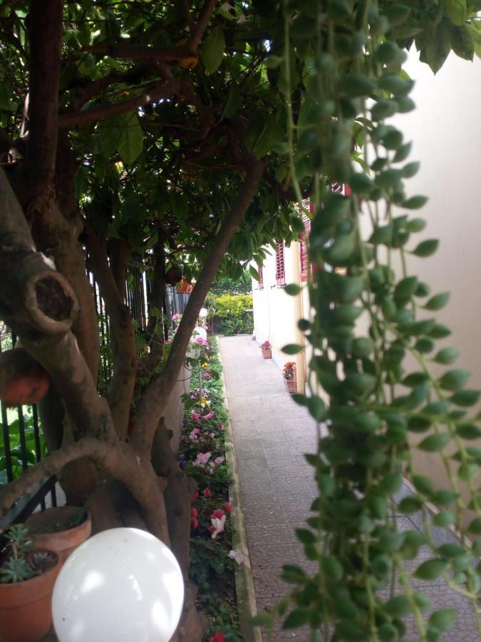 Green Garden Pompeia Exterior foto
